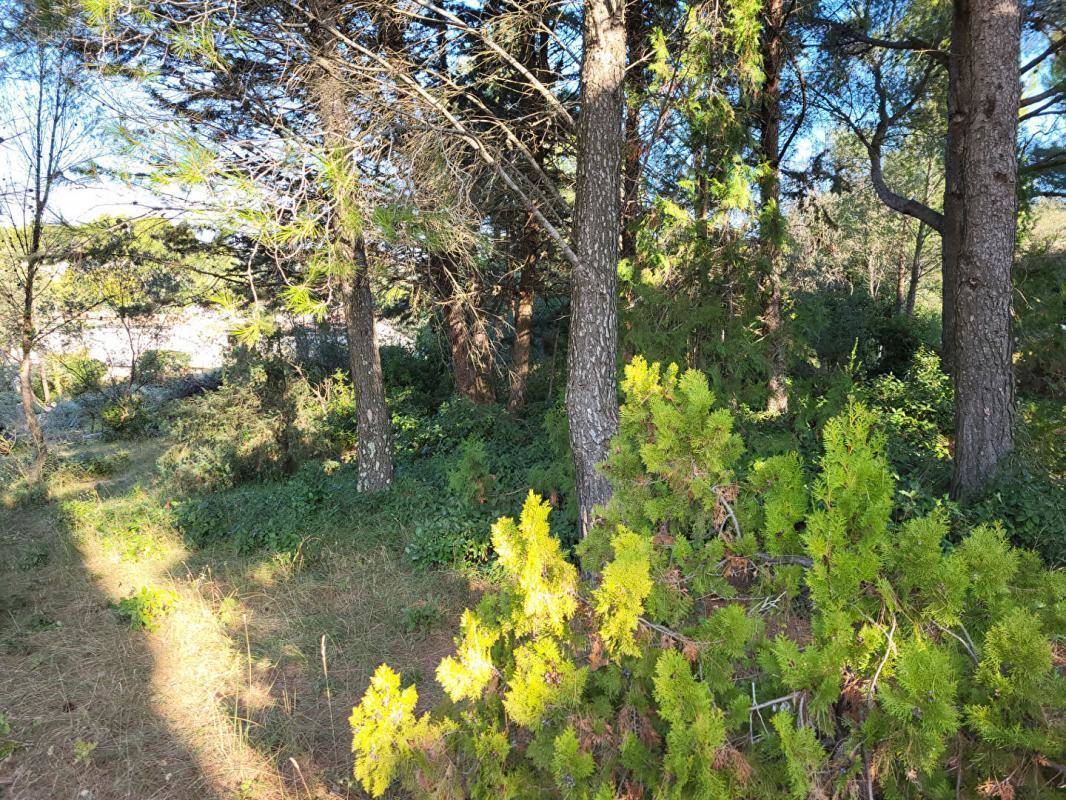 Terrain à LAUDUN-L&#039;ARDOISE