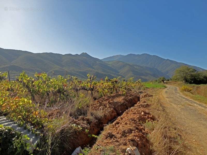 Terrain à ESPIRA-DE-CONFLENT