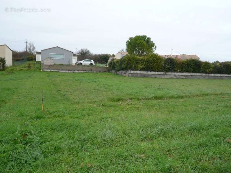 Terrain à SAINT-LAURENT-DE-COGNAC