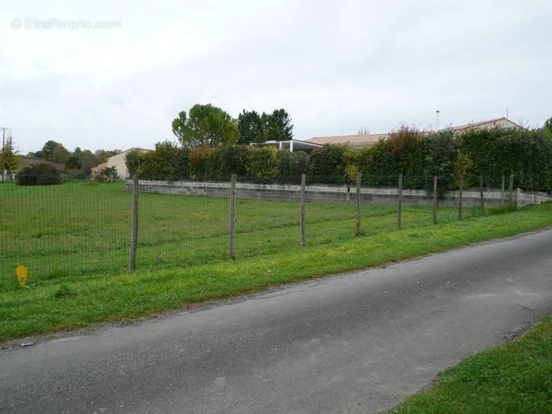 Terrain à SAINT-LAURENT-DE-COGNAC