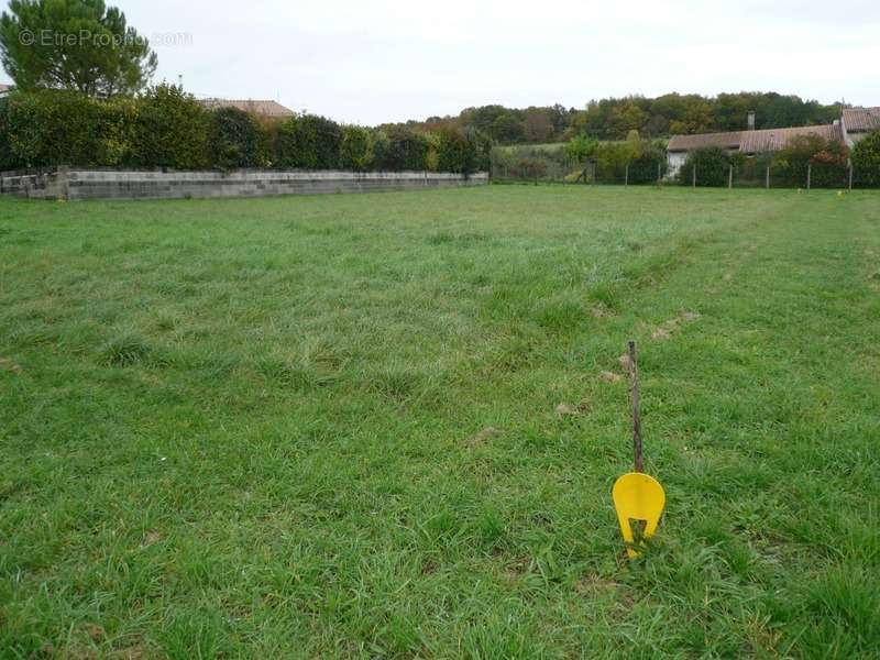 Terrain à SAINT-LAURENT-DE-COGNAC