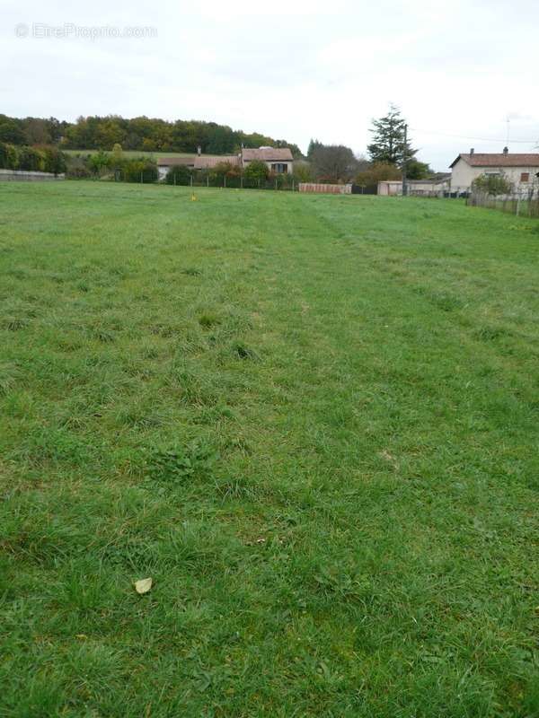 Terrain à SAINT-LAURENT-DE-COGNAC