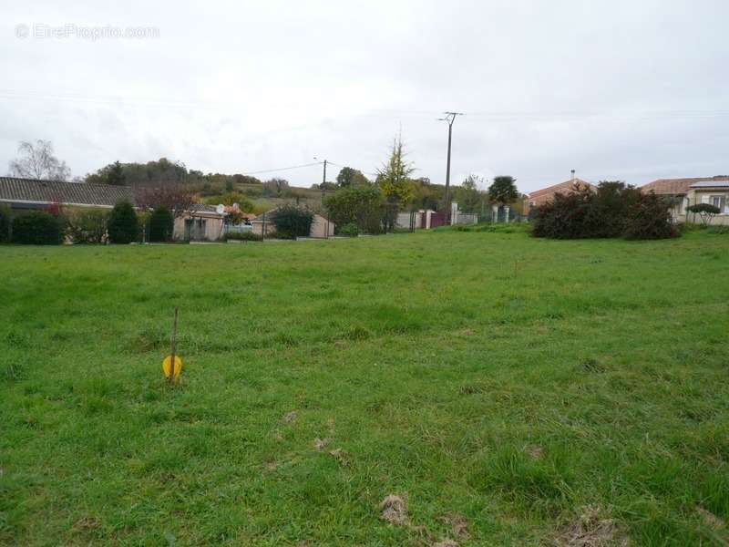 Terrain à SAINT-LAURENT-DE-COGNAC