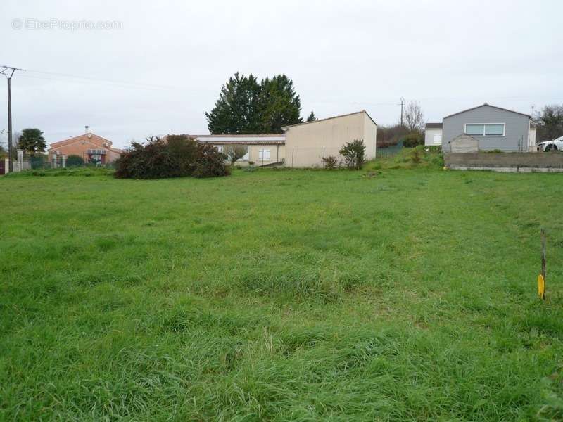 Terrain à SAINT-LAURENT-DE-COGNAC