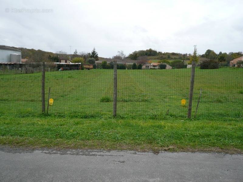 Terrain à SAINT-LAURENT-DE-COGNAC