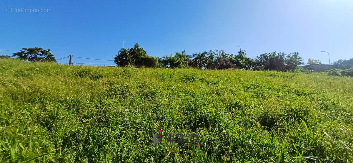 Terrain à PETIT-BOURG