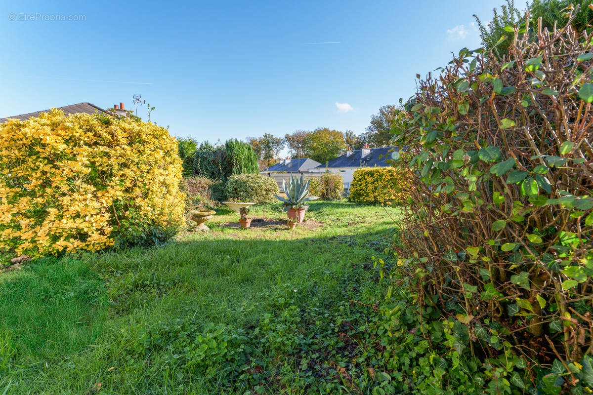 Maison à TOURS