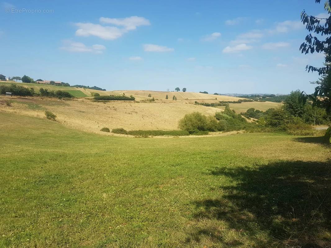 Terrain à SAINT-CHRISTAUD