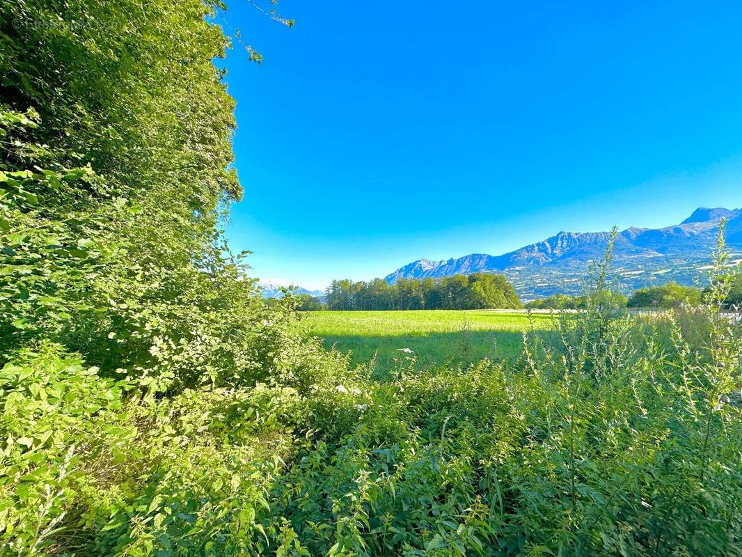 Terrain à FOREST-SAINT-JULIEN