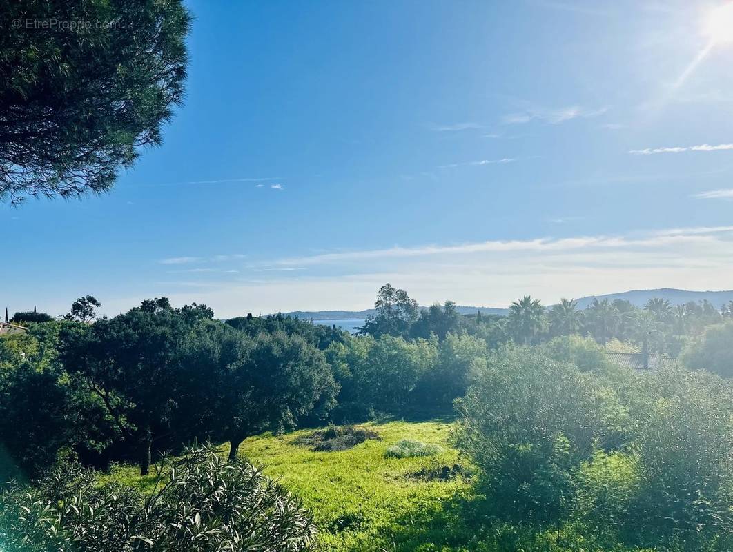 Terrain à GRIMAUD