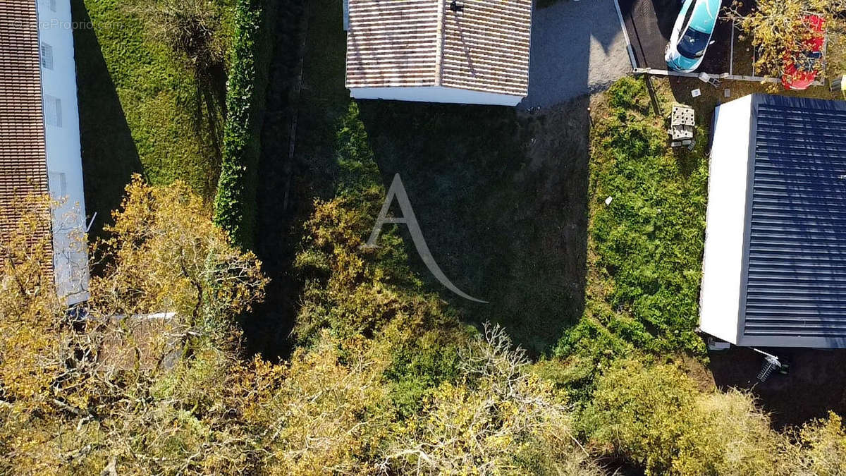 Terrain à MARTINET