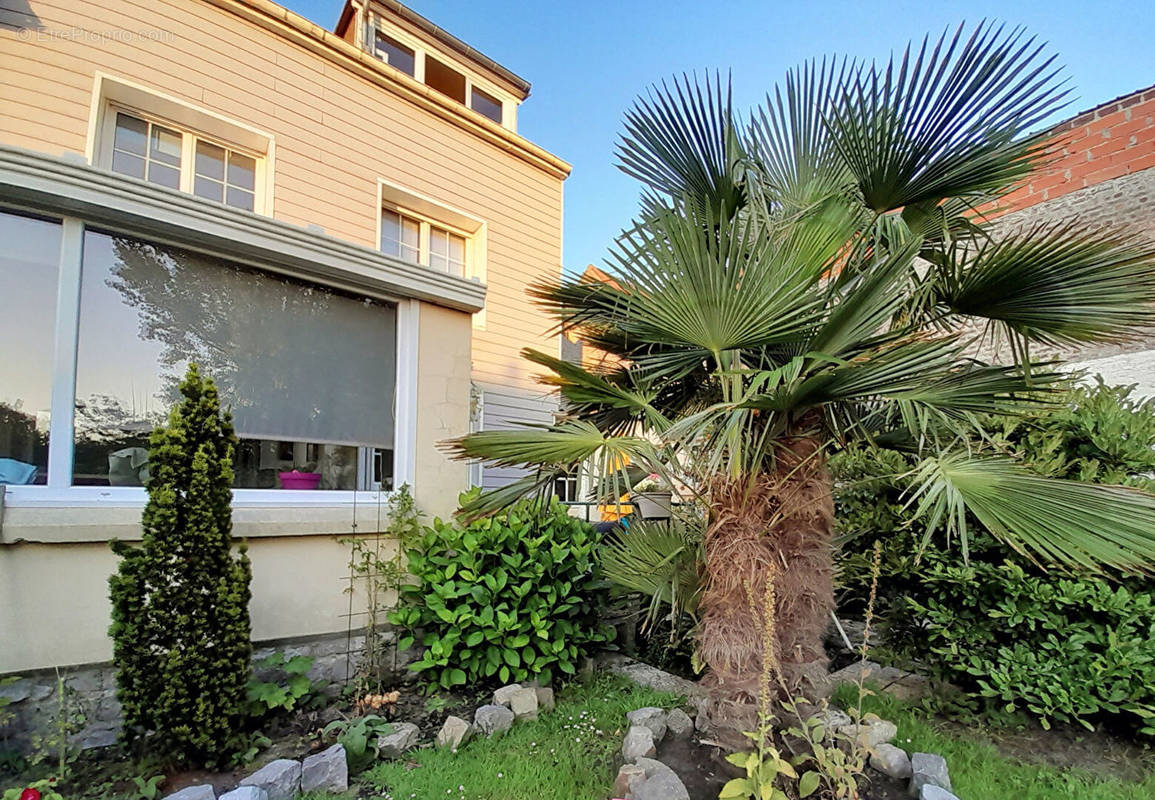 Maison à BERCK