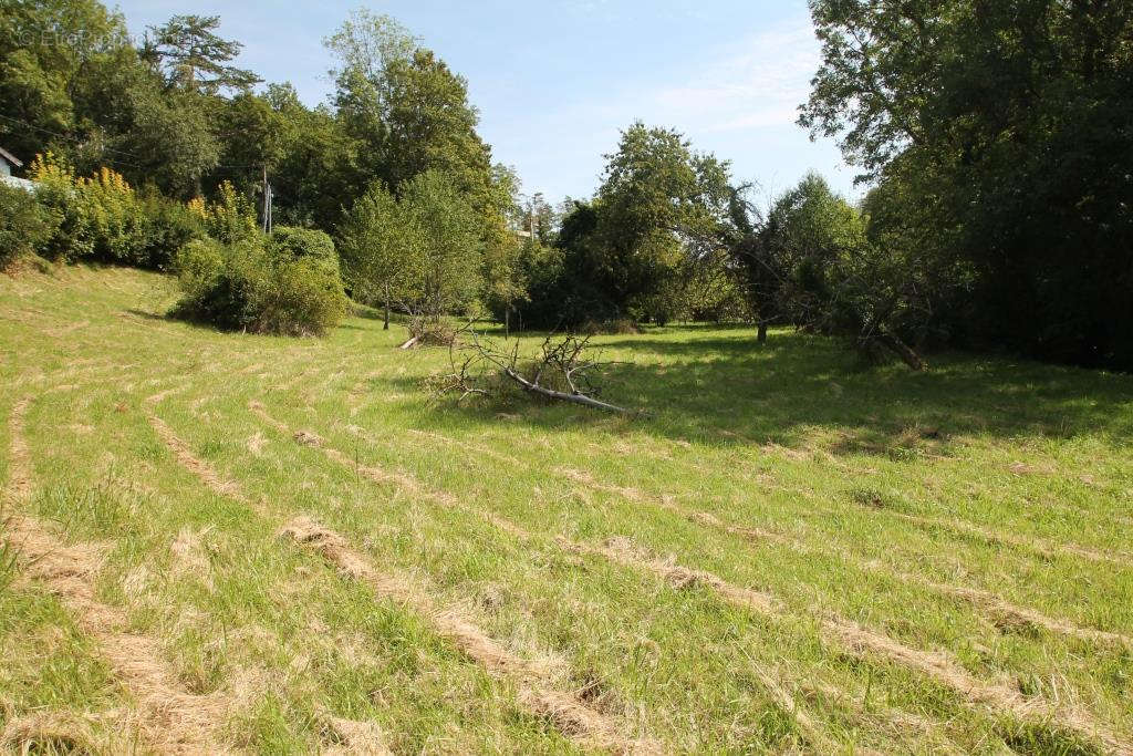 Terrain à FONTAINE-LE-PORT