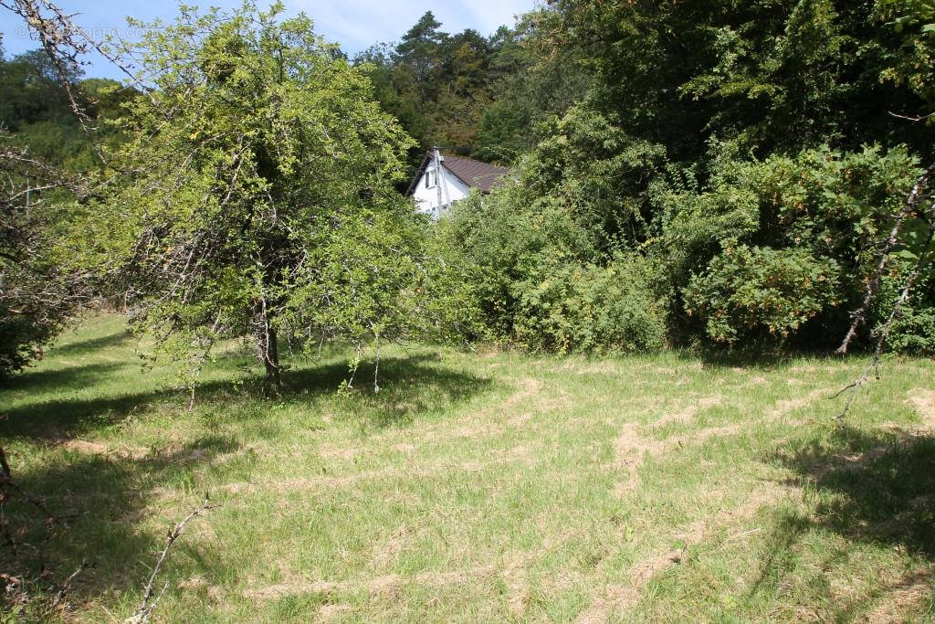 Terrain à FONTAINE-LE-PORT