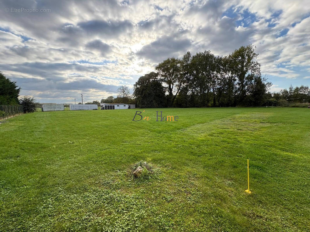 Terrain à HAYNECOURT