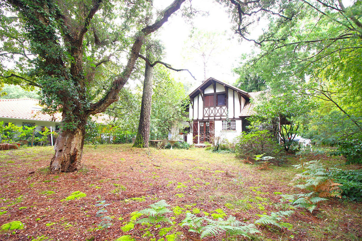 Maison à HOSSEGOR