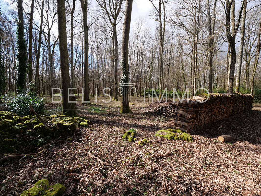 Terrain à BALLAN-MIRE