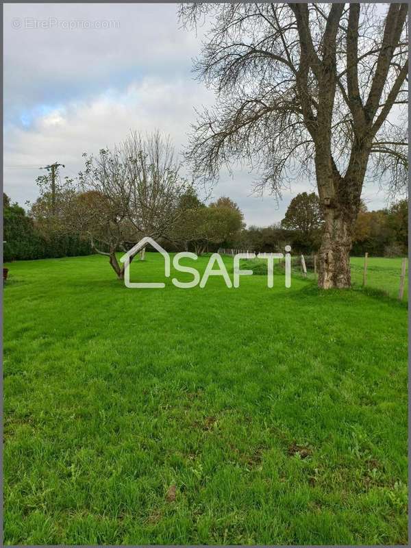 Photo 9 - Maison à NOTRE-DAME-DES-LANDES