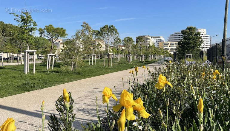 Appartement à MONTPELLIER