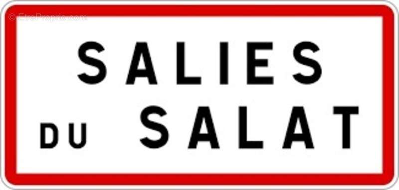 Maison à SALIES-DU-SALAT