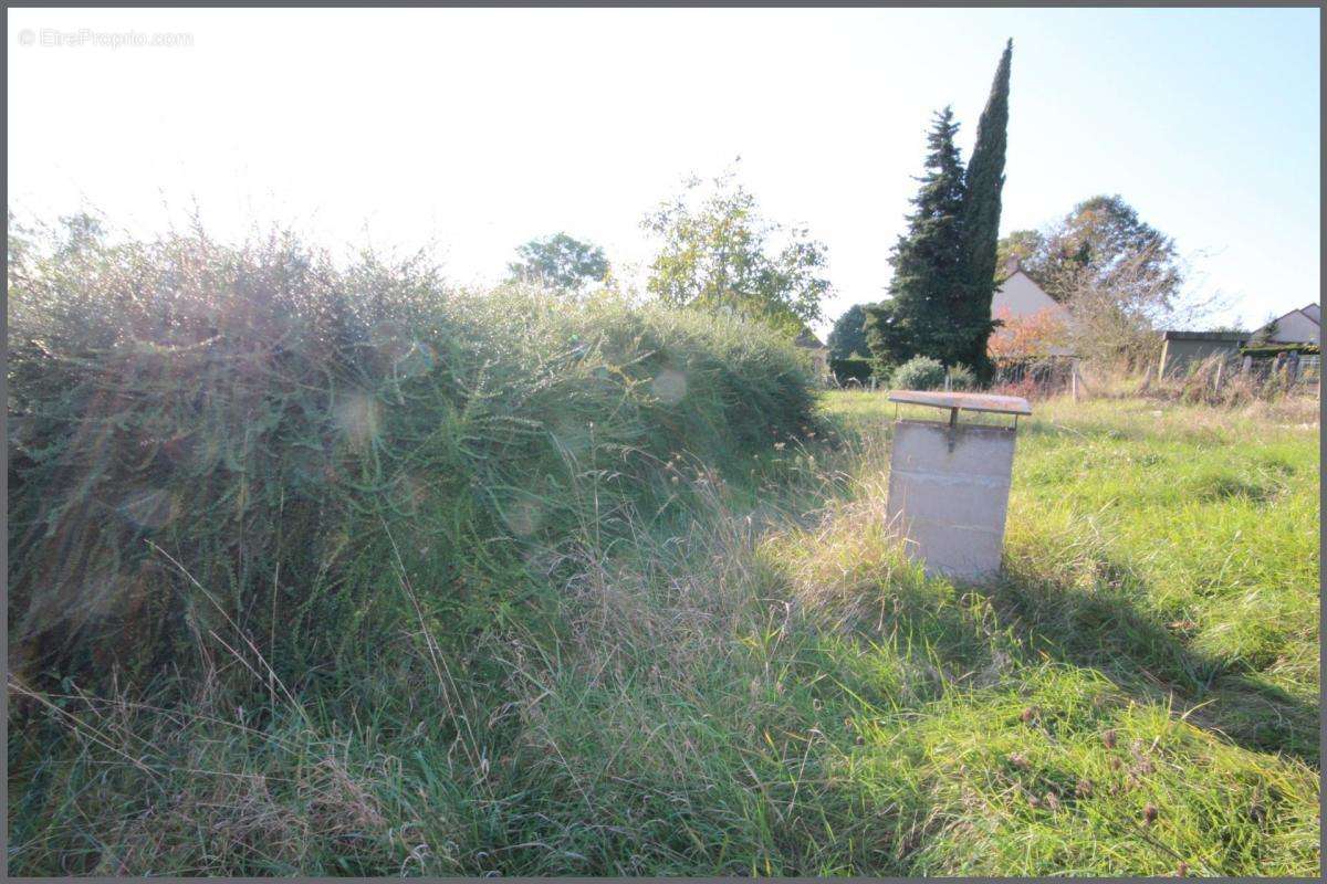 Terrain à AUBIGNE-RACAN