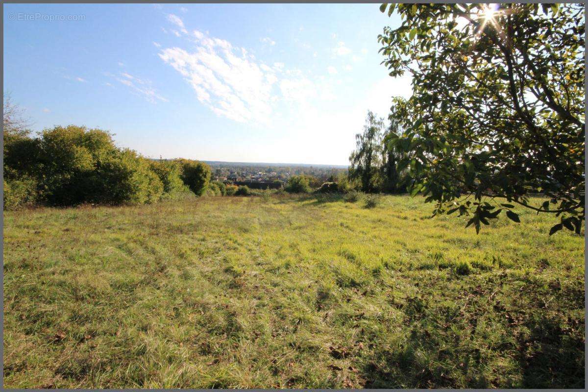 Terrain à AUBIGNE-RACAN