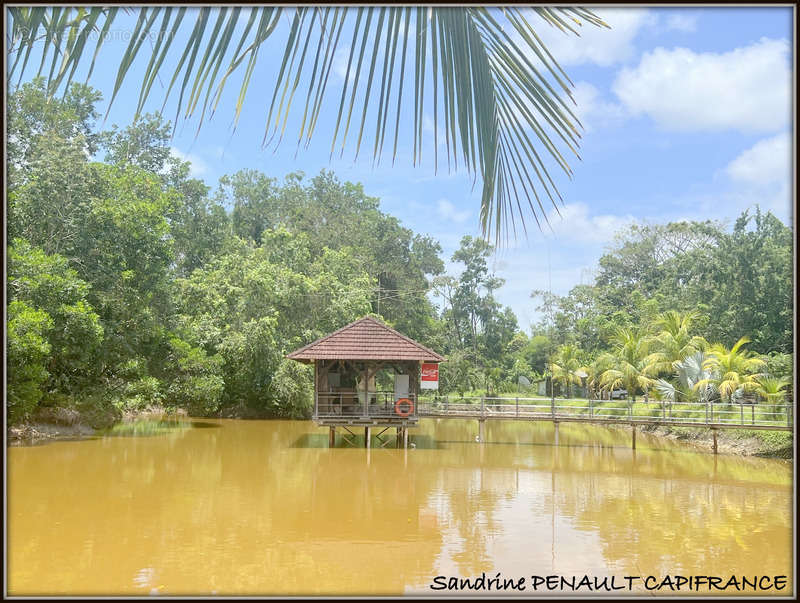 Maison à KOUROU