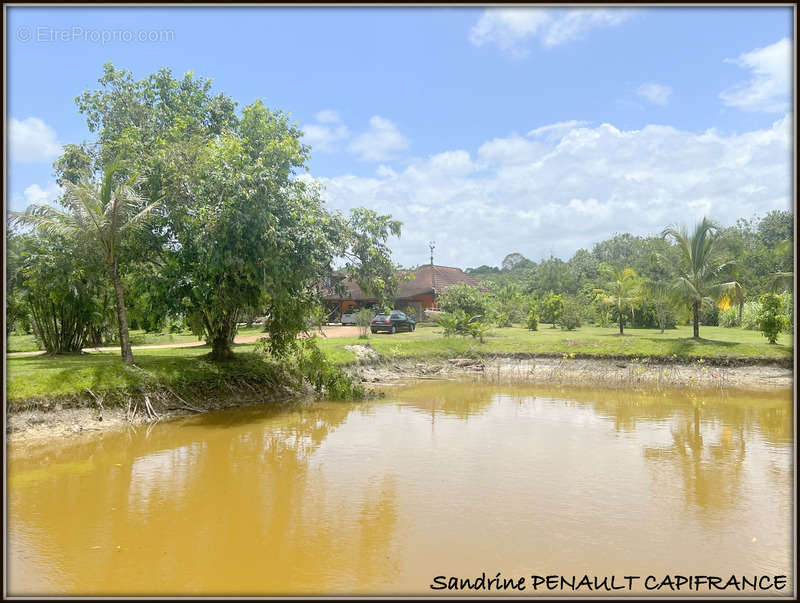 Maison à KOUROU