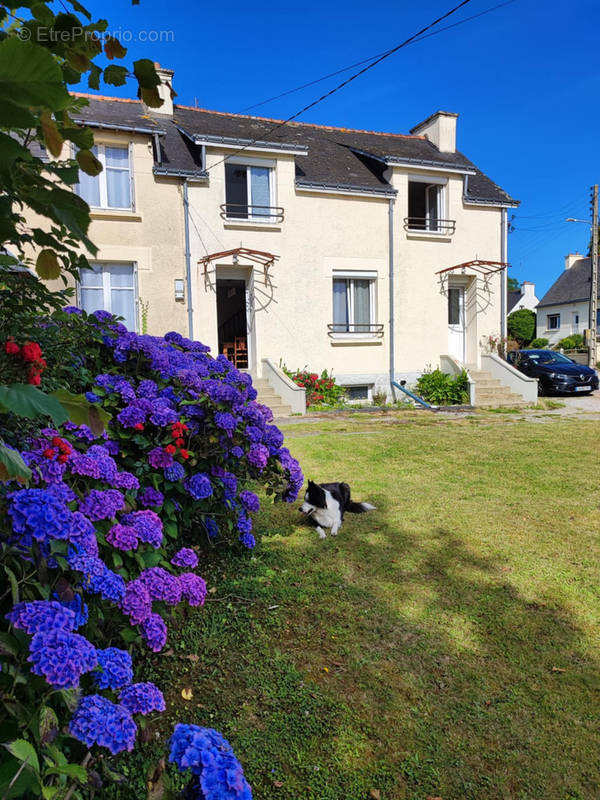 Maison à LANGONNET