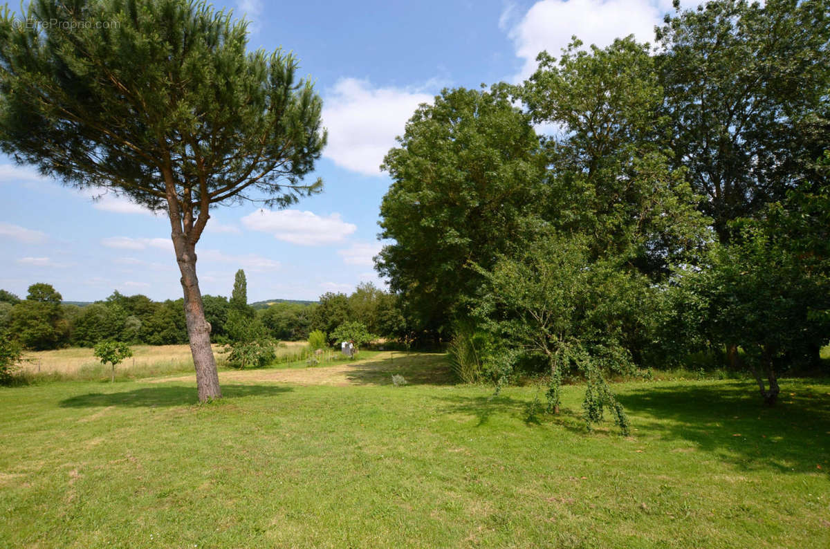 Parc 2 - Grounds 2 - Maison à VIC-FEZENSAC