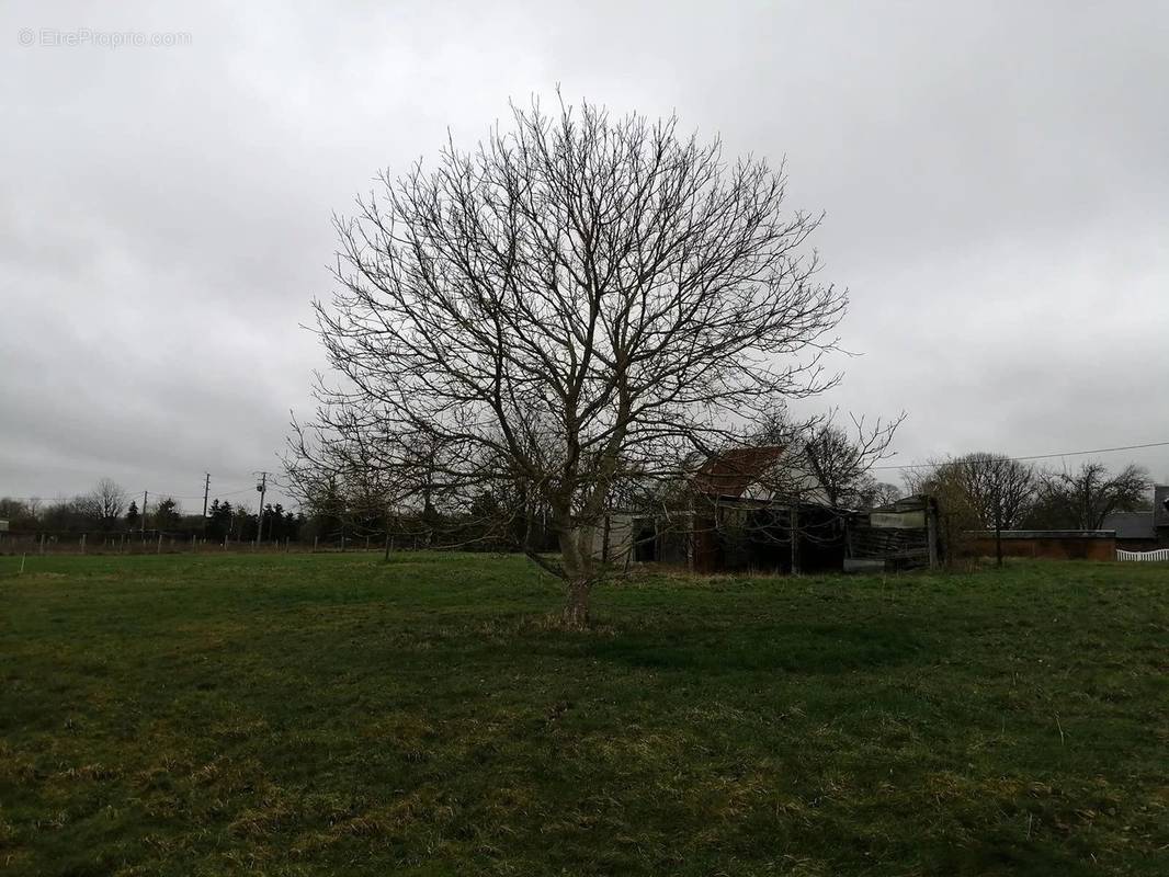 Terrain à BERNAY