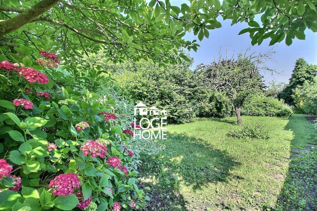 Jardin sans vis à vis - Maison à HENIN-BEAUMONT