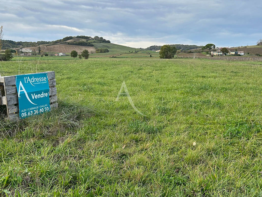 Terrain à GAILLAC