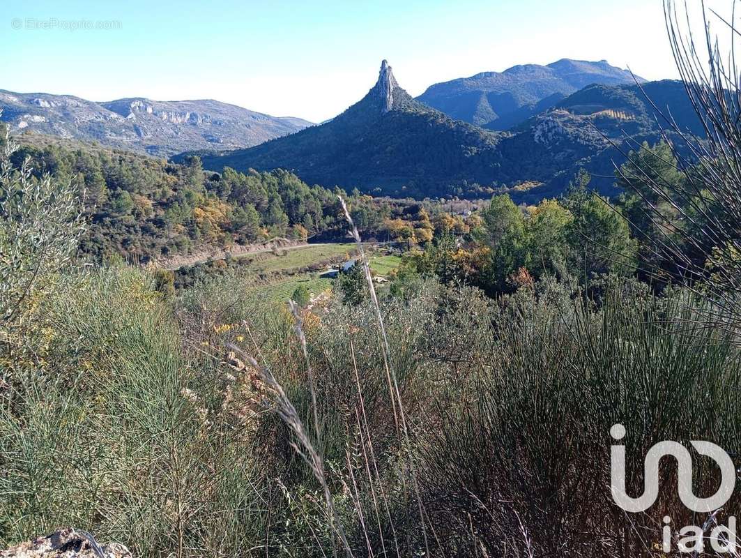 Photo 2 - Terrain à BUIS-LES-BARONNIES