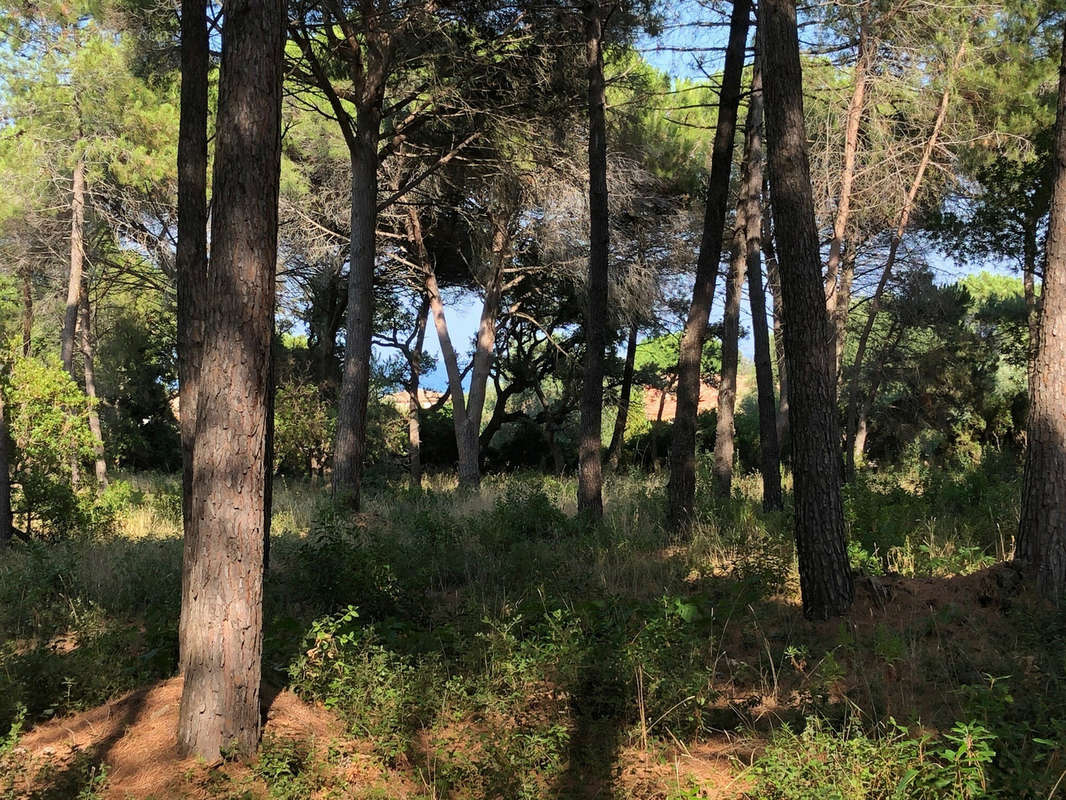 Maison à SAINTE-MAXIME