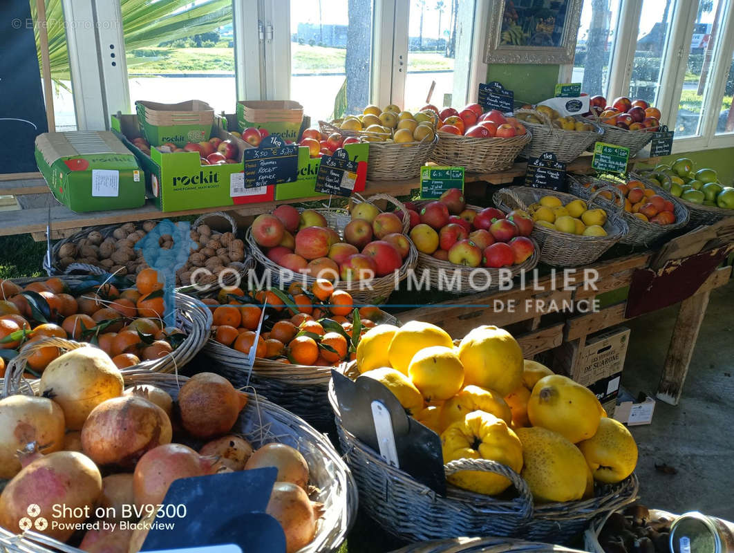 Commerce à BAILLARGUES