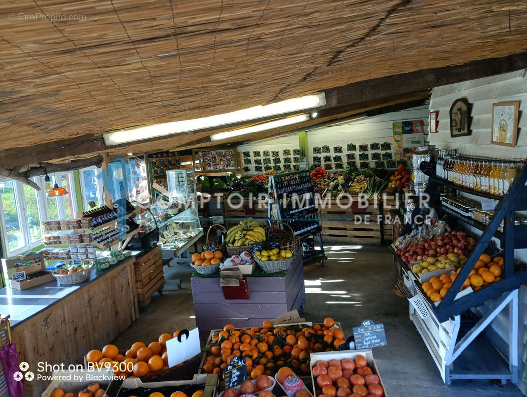 Commerce à BAILLARGUES