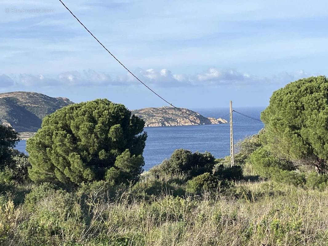 Terrain à CALVI