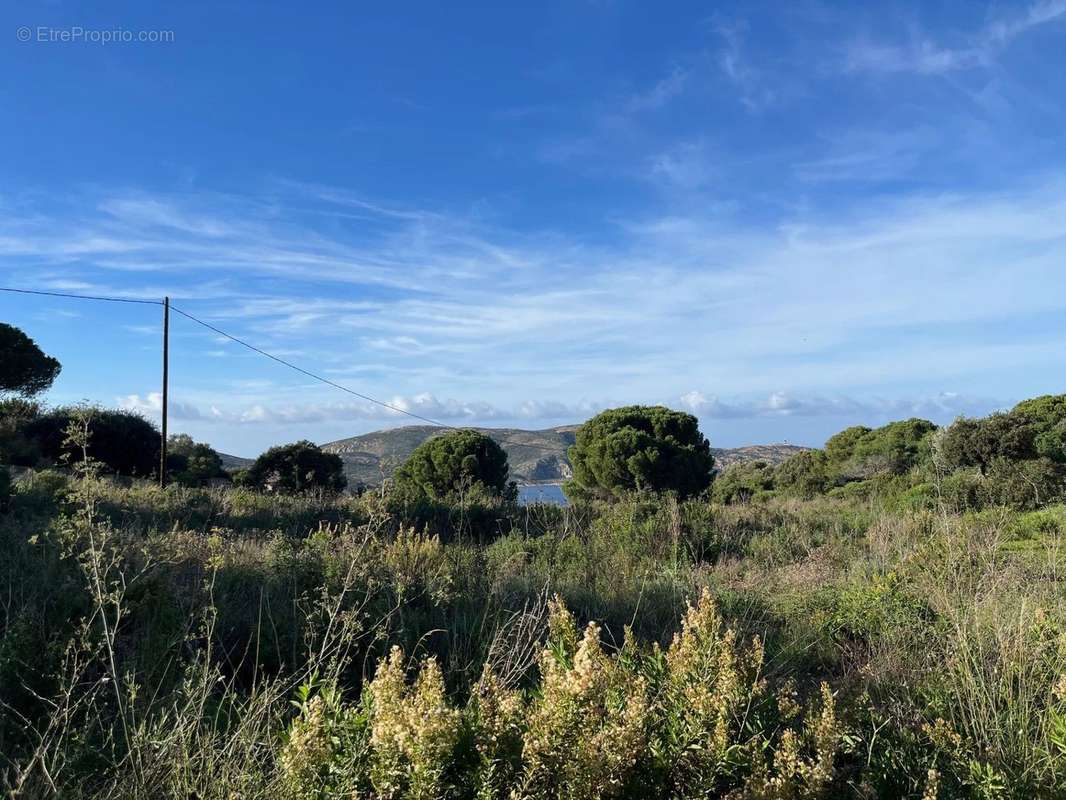 Terrain à CALVI