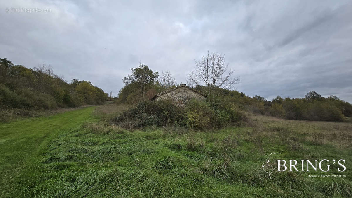 Terrain à MIRAMONT-DE-QUERCY