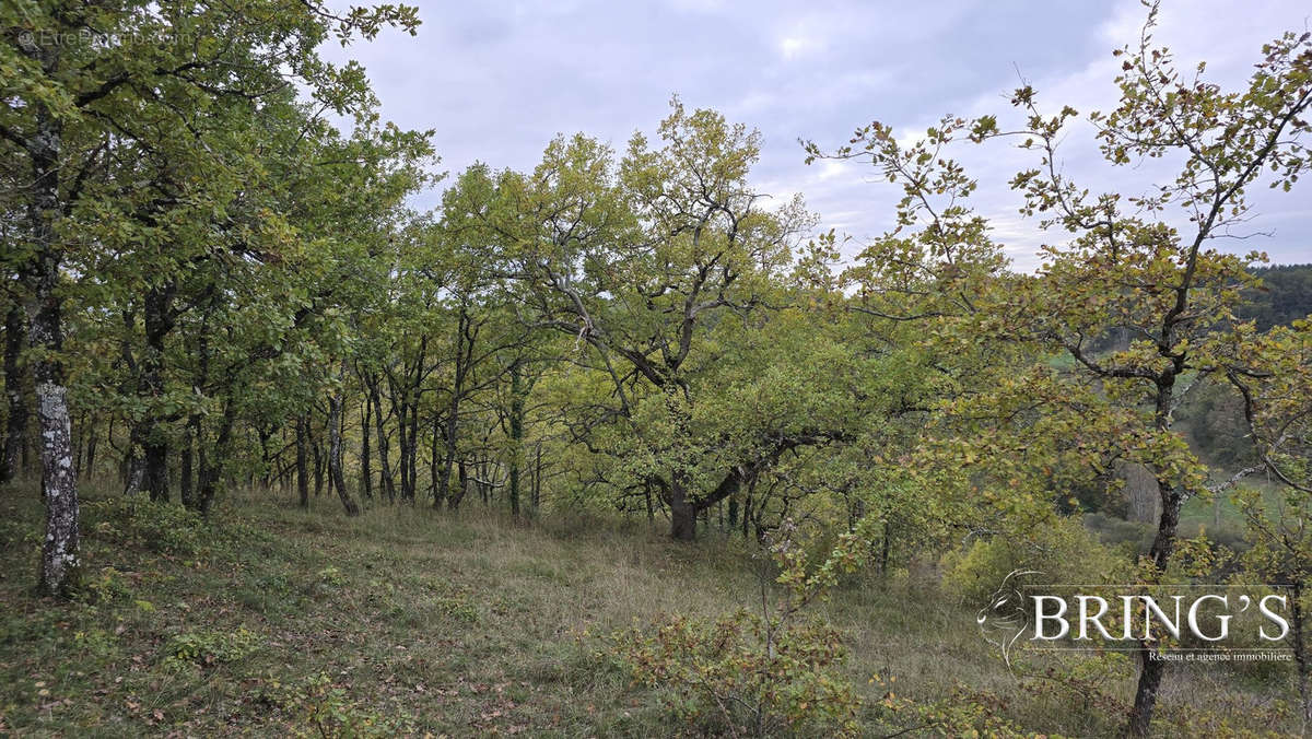 Terrain à MIRAMONT-DE-QUERCY