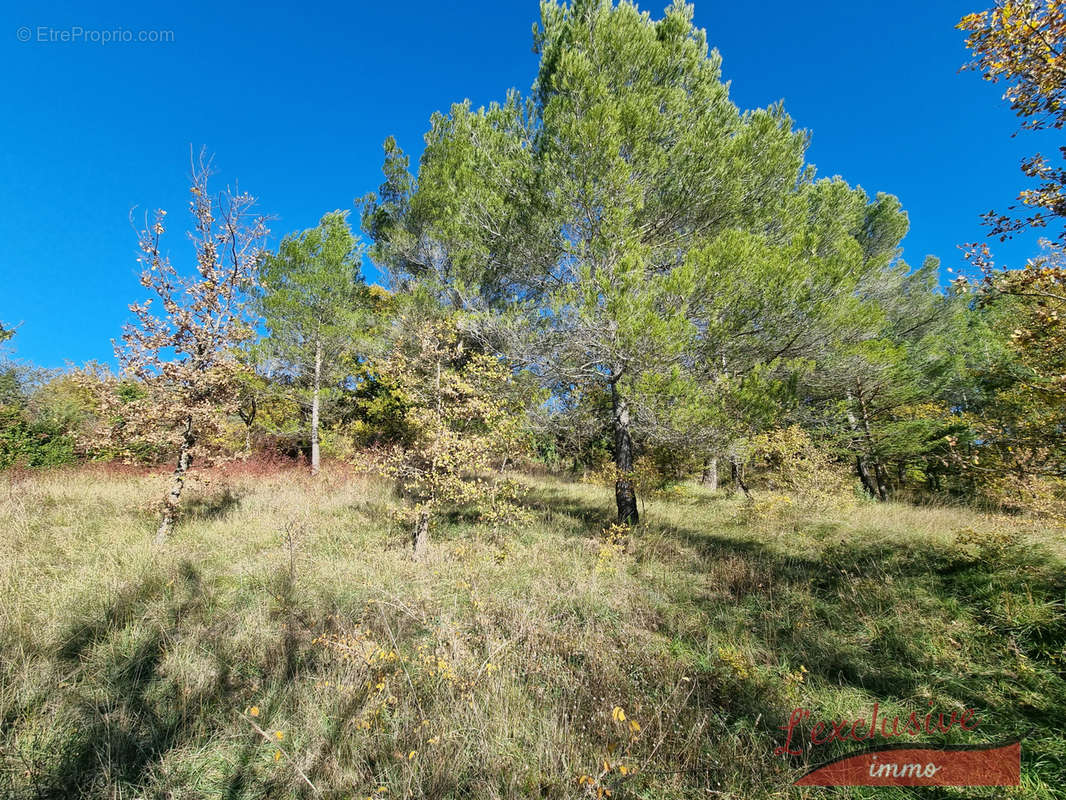 Terrain à ARTIGNOSC-SUR-VERDON