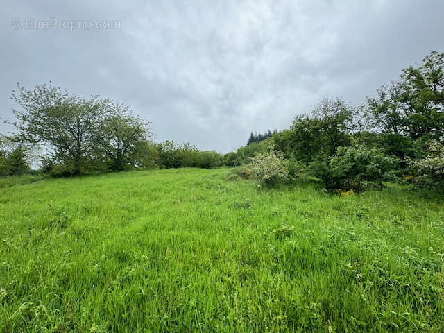 Terrain à DIEME