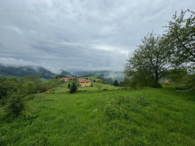 Terrain à DIEME