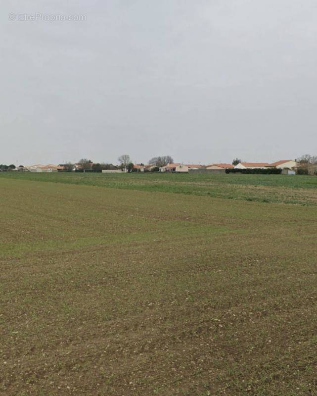 Terrain à VILLEDOUX