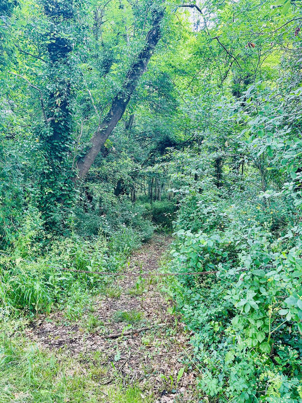 Terrain à MONTAGNE