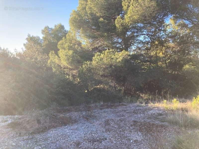 Terrain à BAUDINARD-SUR-VERDON