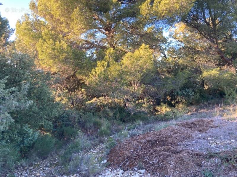 Terrain à BAUDINARD-SUR-VERDON