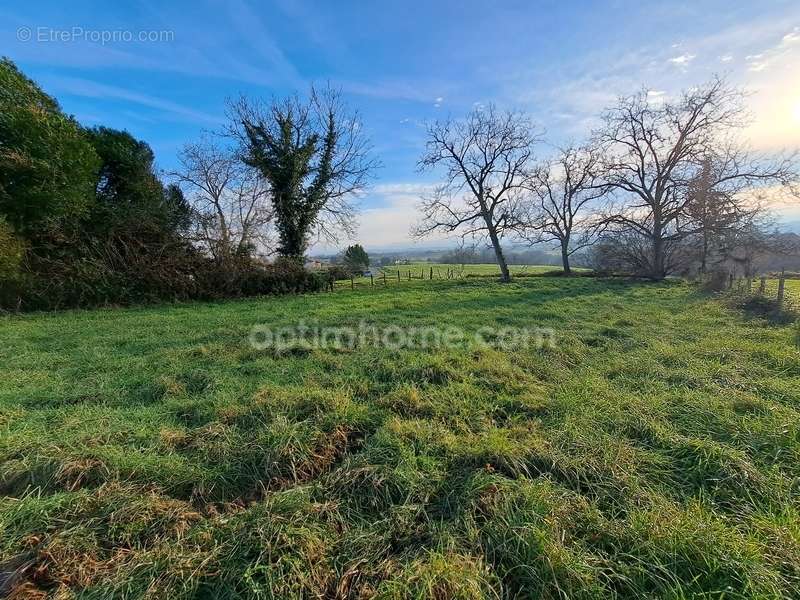 Terrain à SAUVETERRE-DE-BEARN