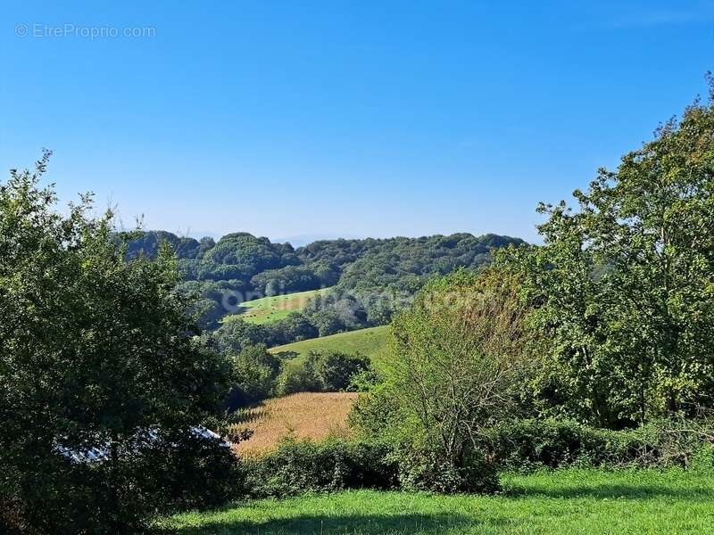 Terrain à SAUVETERRE-DE-BEARN